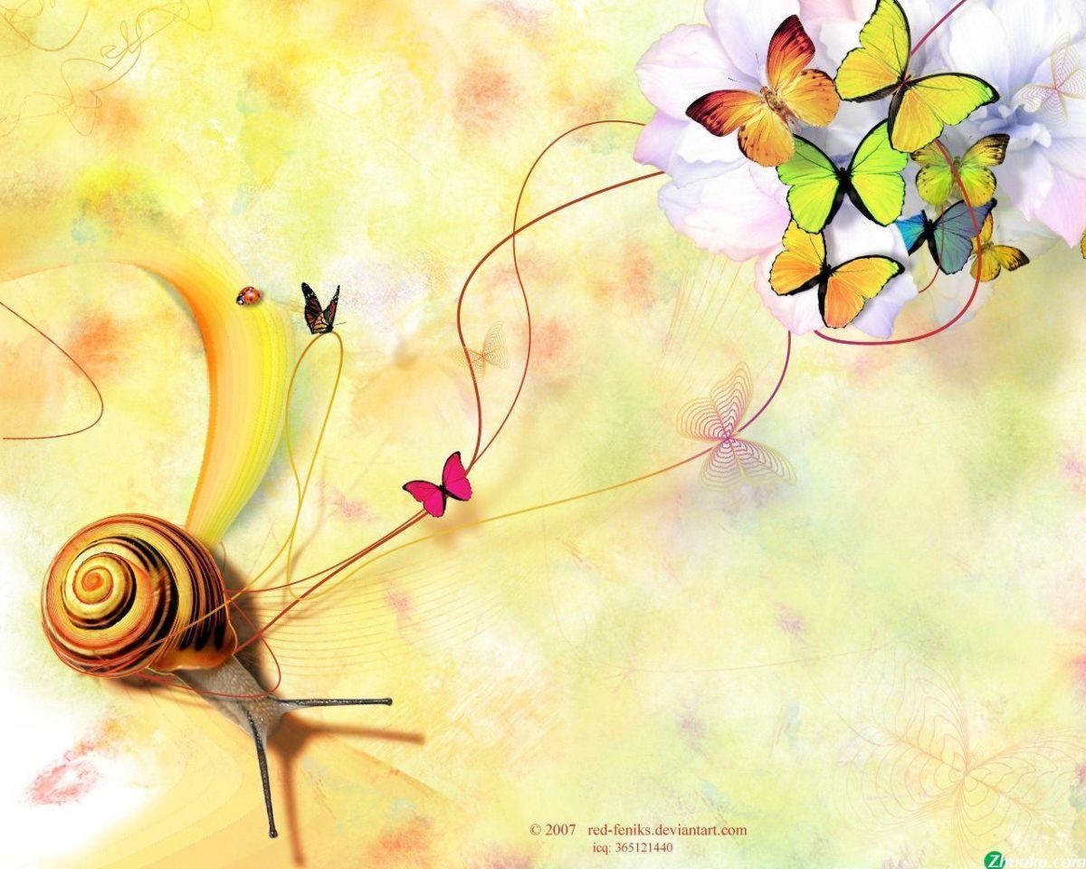 Snail & Butterflies Wallpaper Wallpapers – HD Wallpapers 35568