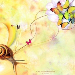 download Snail & Butterflies Wallpaper Wallpapers – HD Wallpapers 35568