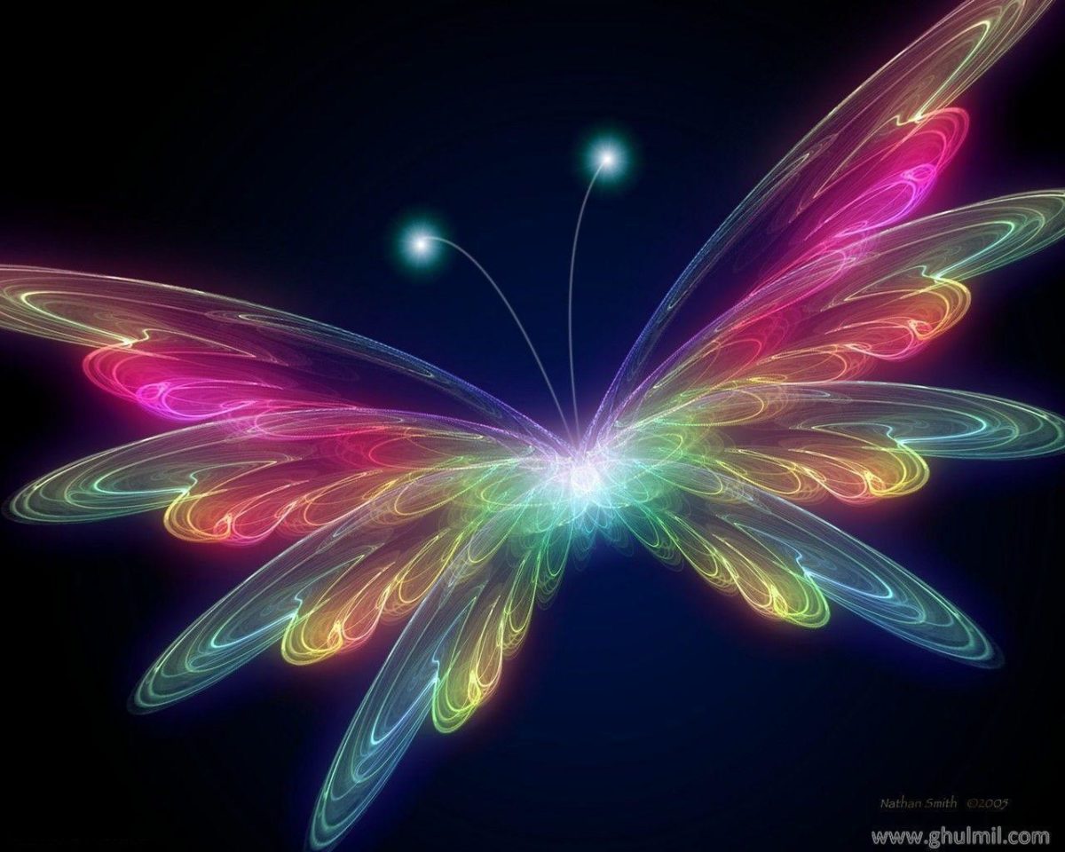 3D Butterfly wallpaper – Butterflies Wallpaper (31063788) – Fanpop
