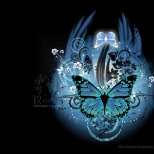download Beautiful Wallpapers Of Butterflies | fashionplaceface.
