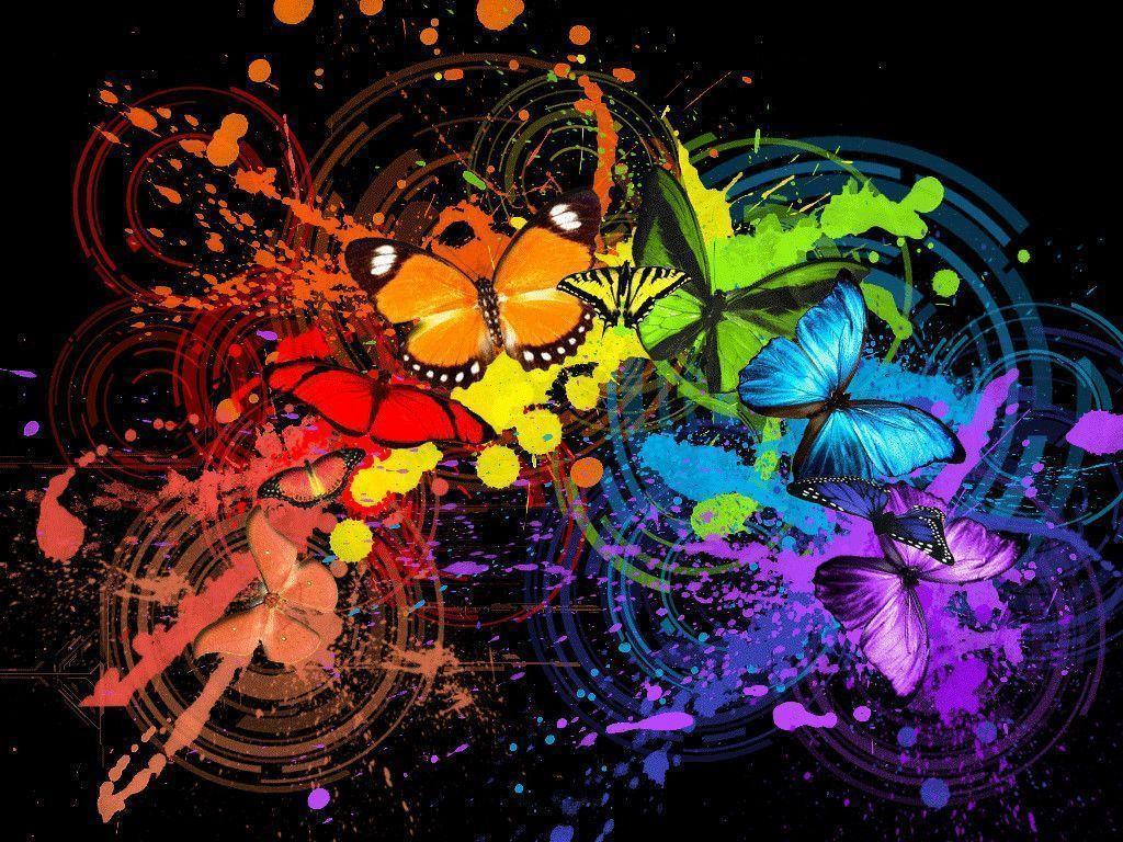 Download wallpaper: multicolored Butterflies, butterfly wallpaper …