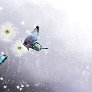 download Butterflies-HD-Wallpapers-5 – AHD Images