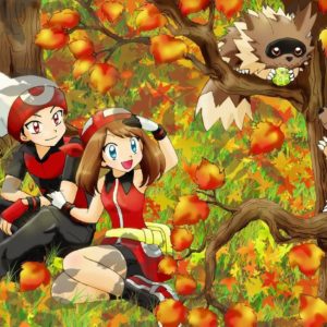 download RS and Zigzagoon | Pokémon | Pinterest | Pokémon, Pokemon special …