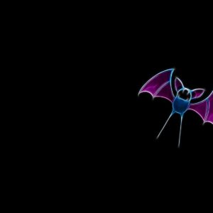 download 1 Zubat HD Wallpapers | Background Images – Wallpaper Abyss